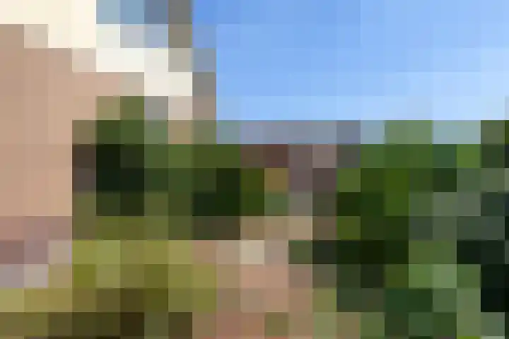 Warmoeskade 7 Boskoop thumbnail 33