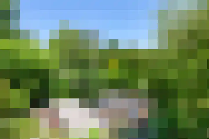 Warmoeskade 7 Boskoop thumbnail 34
