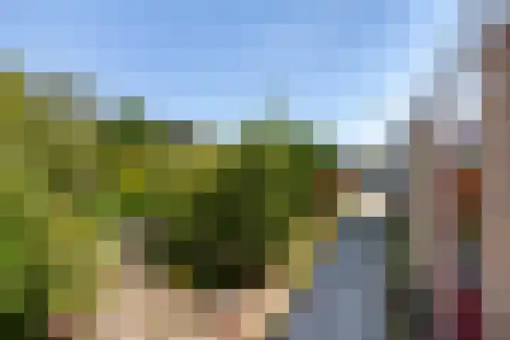 Warmoeskade 7 Boskoop thumbnail 35