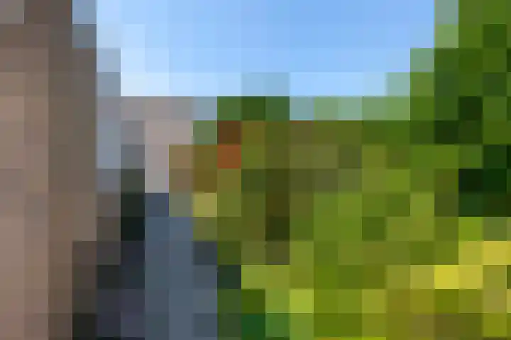 Warmoeskade 7 Boskoop thumbnail 36