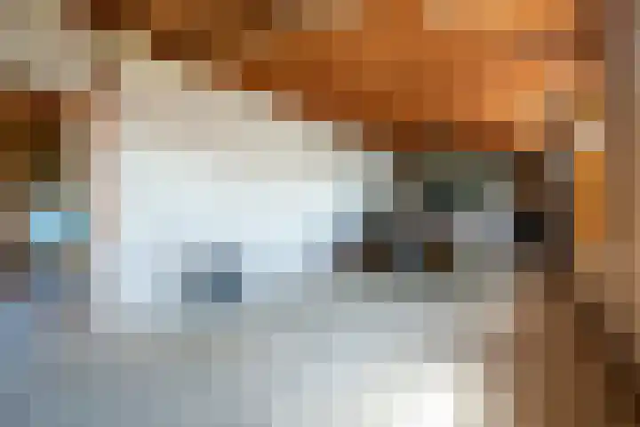 Warmoeskade 7 Boskoop thumbnail 39