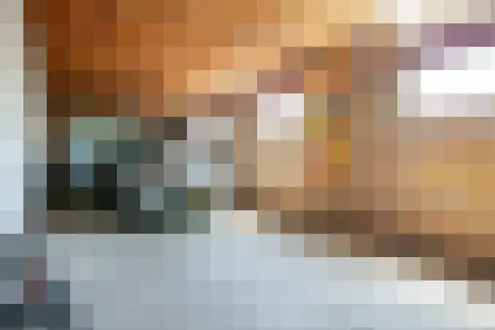 Warmoeskade 7 Boskoop thumbnail 40