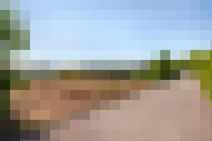 Warmoeskade 7 Boskoop thumbnail 42