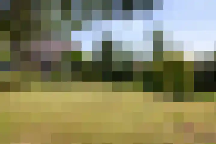 Warmoeskade 7 Boskoop thumbnail 44