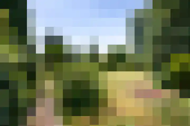 Warmoeskade 7 Boskoop thumbnail 45