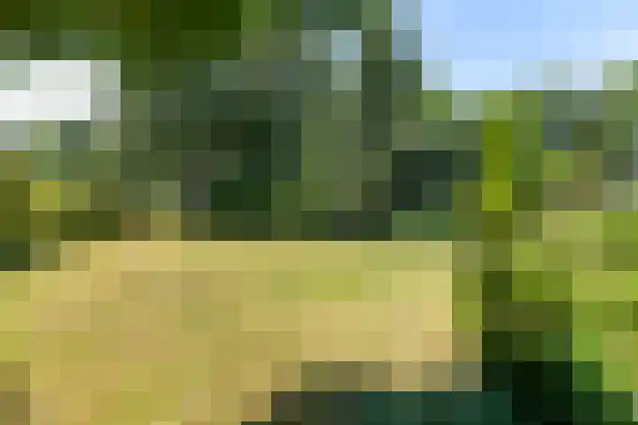 Warmoeskade 7 Boskoop thumbnail 46