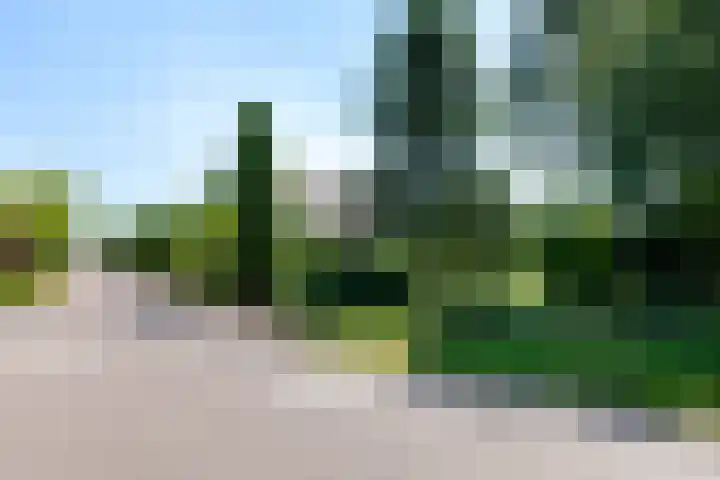 Warmoeskade 7 Boskoop thumbnail 47