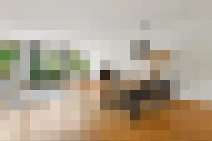 Warmoesland 23 Den Hoorn thumbnail 10
