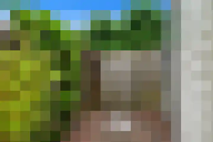 Warmoesland 23 Den Hoorn thumbnail 16