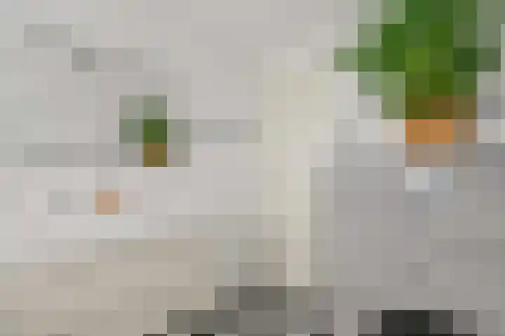 Warmoesland 23 Den Hoorn thumbnail 26