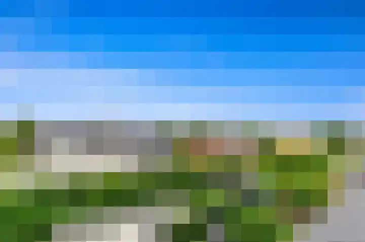 Warmoesland 23 Den Hoorn thumbnail 36