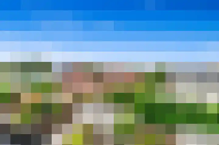 Warmoesland 23 Den Hoorn thumbnail 37