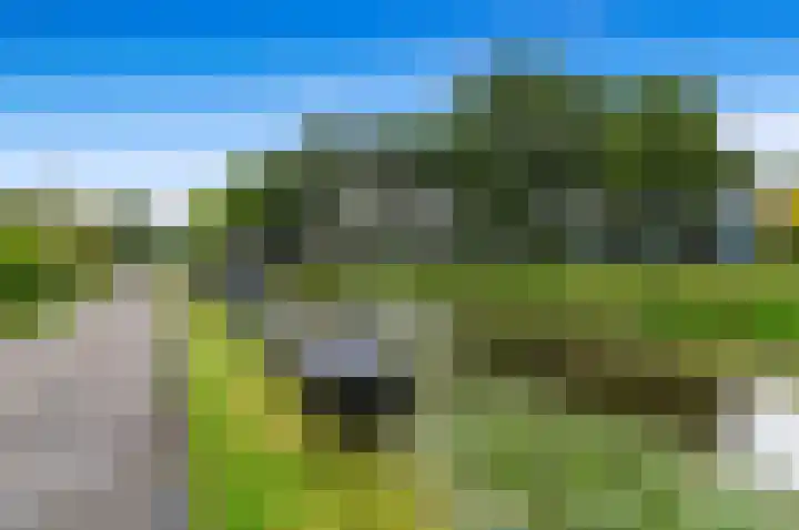 Warmoesland 23 Den Hoorn thumbnail 44