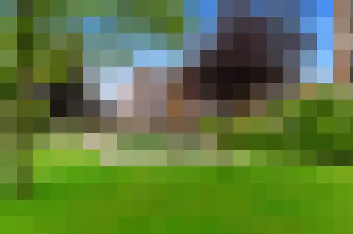 Warmoesland 23 Den Hoorn thumbnail 47