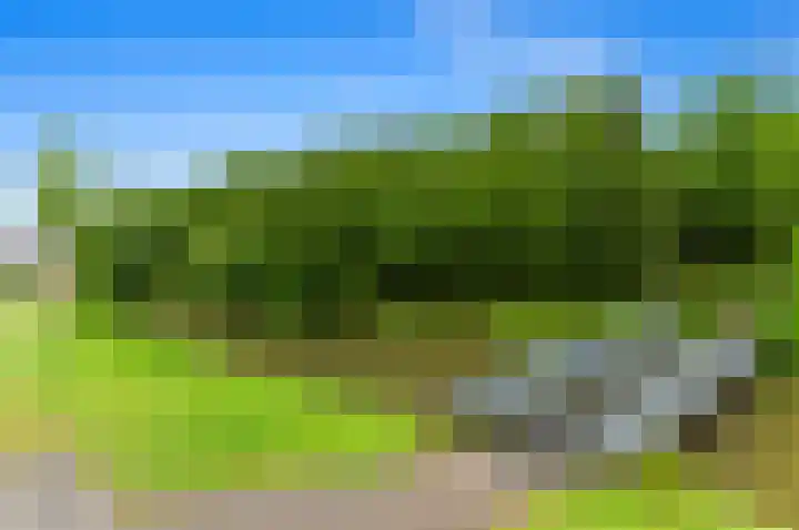 Warmoesland 23 Den Hoorn thumbnail 49