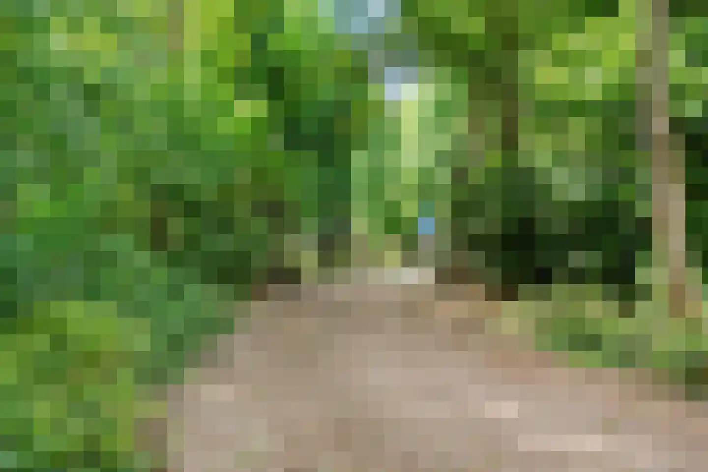 Warmoesstraat 1 d Wormerveer thumbnail 37