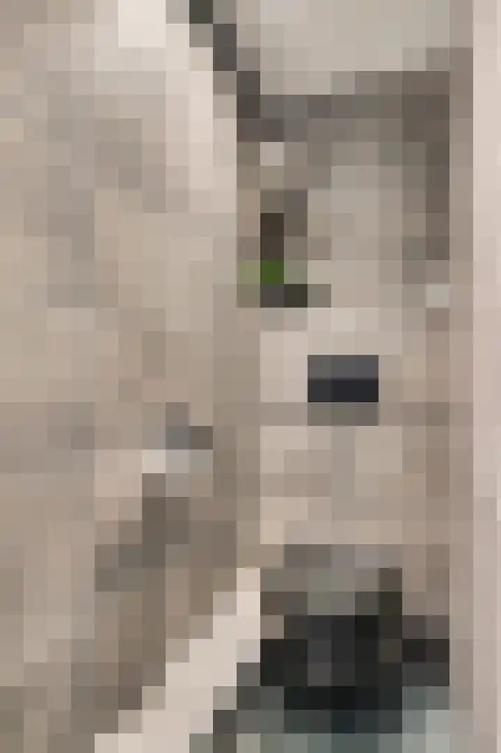 Warmoesstraat 1 e Wormerveer