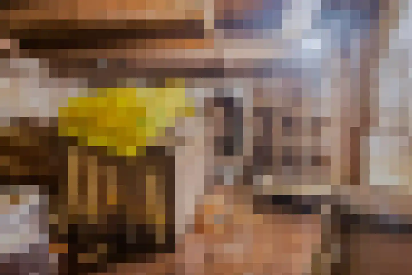 Warmoesstraat 10 Haarlem thumbnail 17