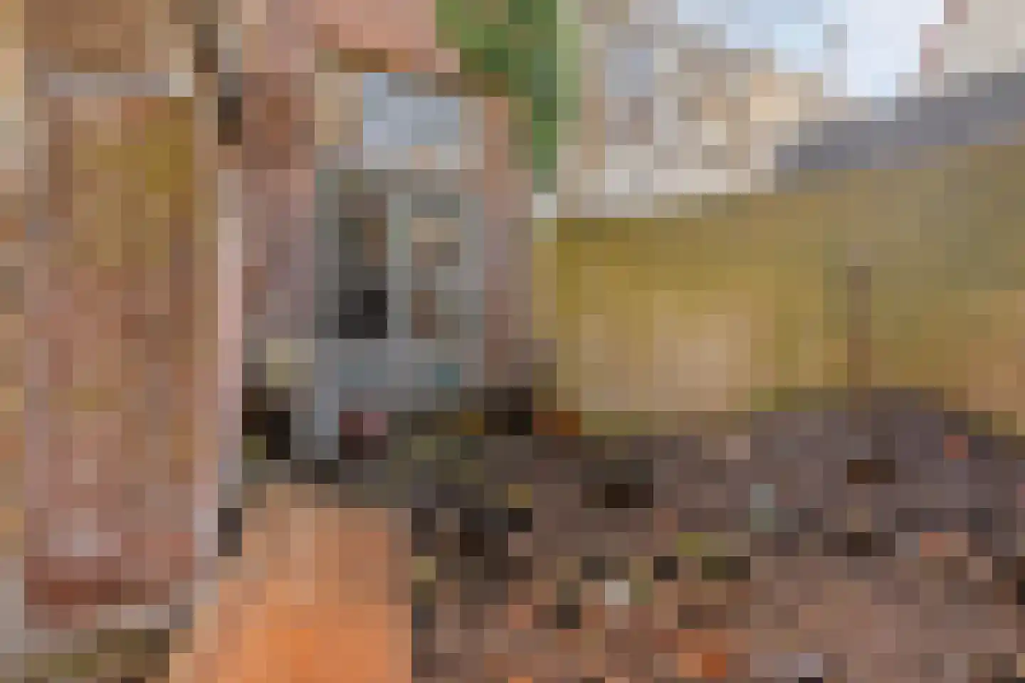 Warmoesstraat 10 Haarlem thumbnail 21