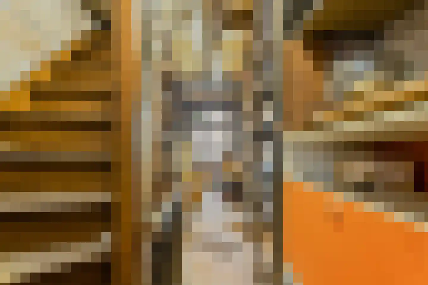 Warmoesstraat 10 Haarlem thumbnail 38