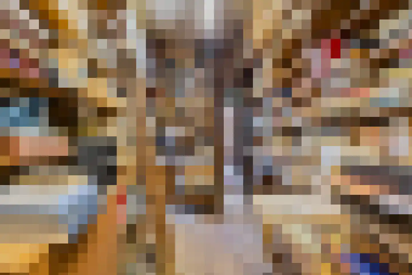 Warmoesstraat 10 Haarlem thumbnail 7