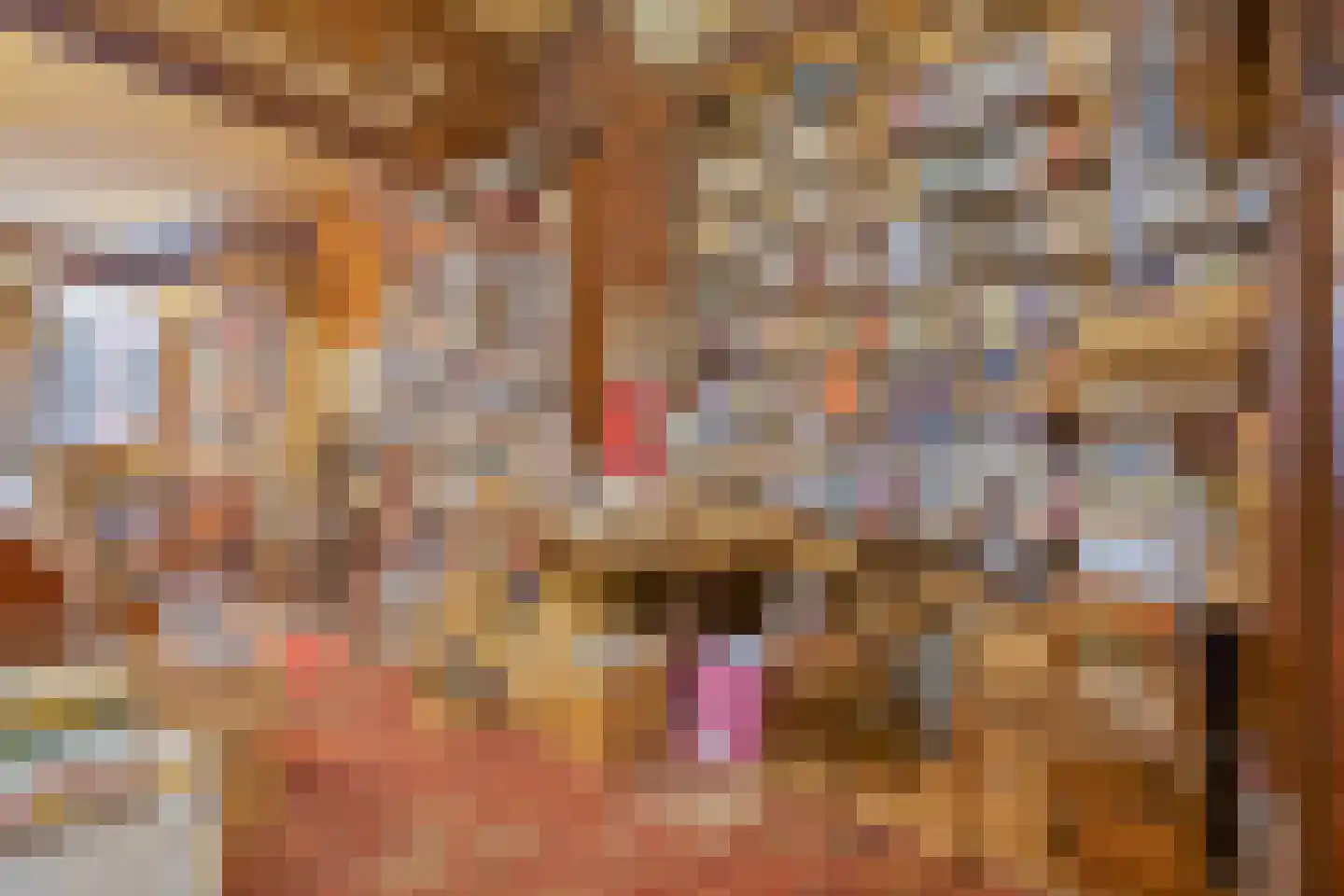 Warmoesstraat 10 Haarlem thumbnail 8