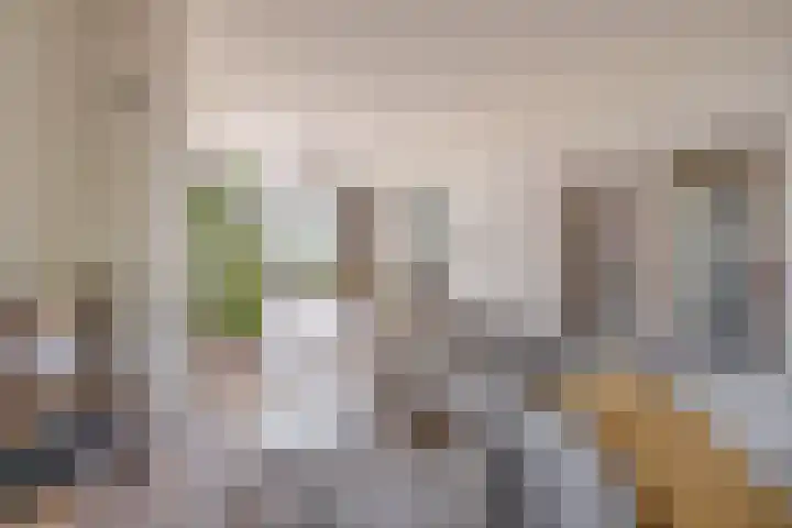 Warmoesstraat 109 Wormerveer thumbnail 12
