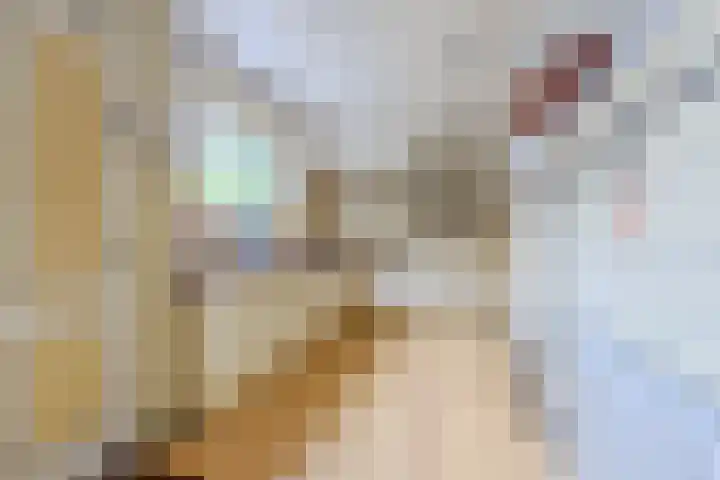 Warmoesstraat 12 Wormerveer thumbnail 13