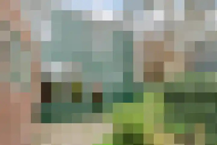 Warmoesstraat 12 Wormerveer thumbnail 44