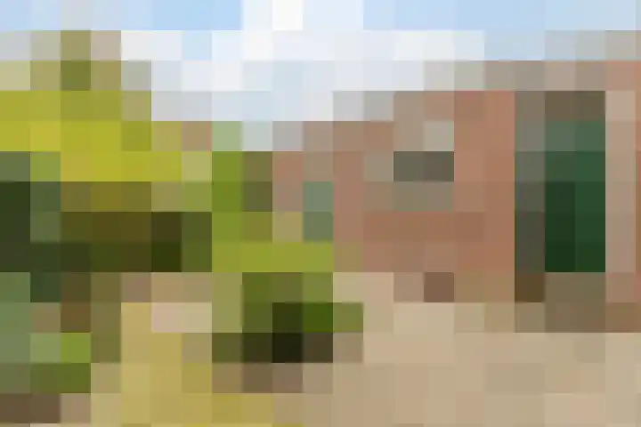 Warmoesstraat 12 Wormerveer thumbnail 46