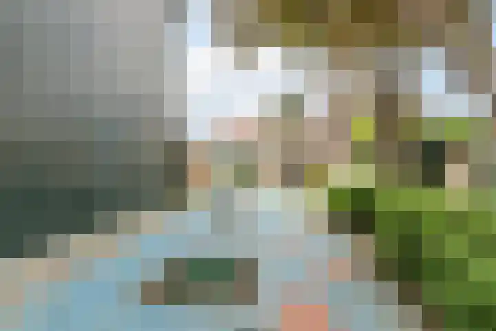 Warmoesstraat 12 Wormerveer thumbnail 52
