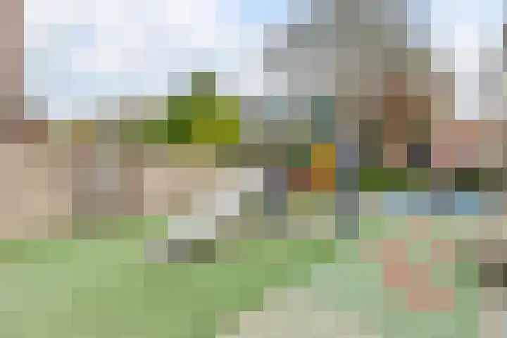 Warmoesstraat 12 Wormerveer thumbnail 53