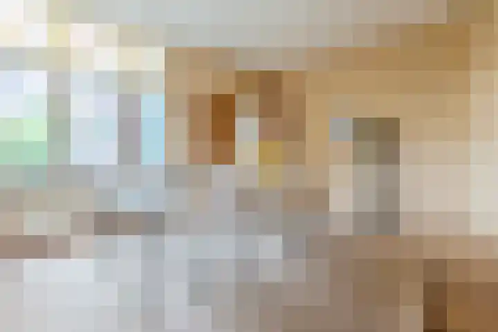 Warmoesstraat 12 Wormerveer thumbnail 7