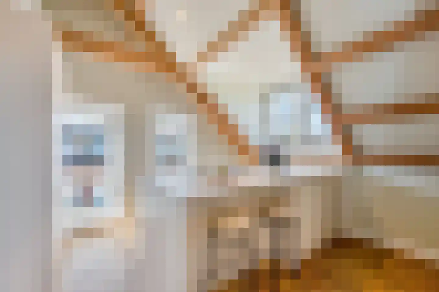 Warmoesstraat 120 A Wormerveer thumbnail 8