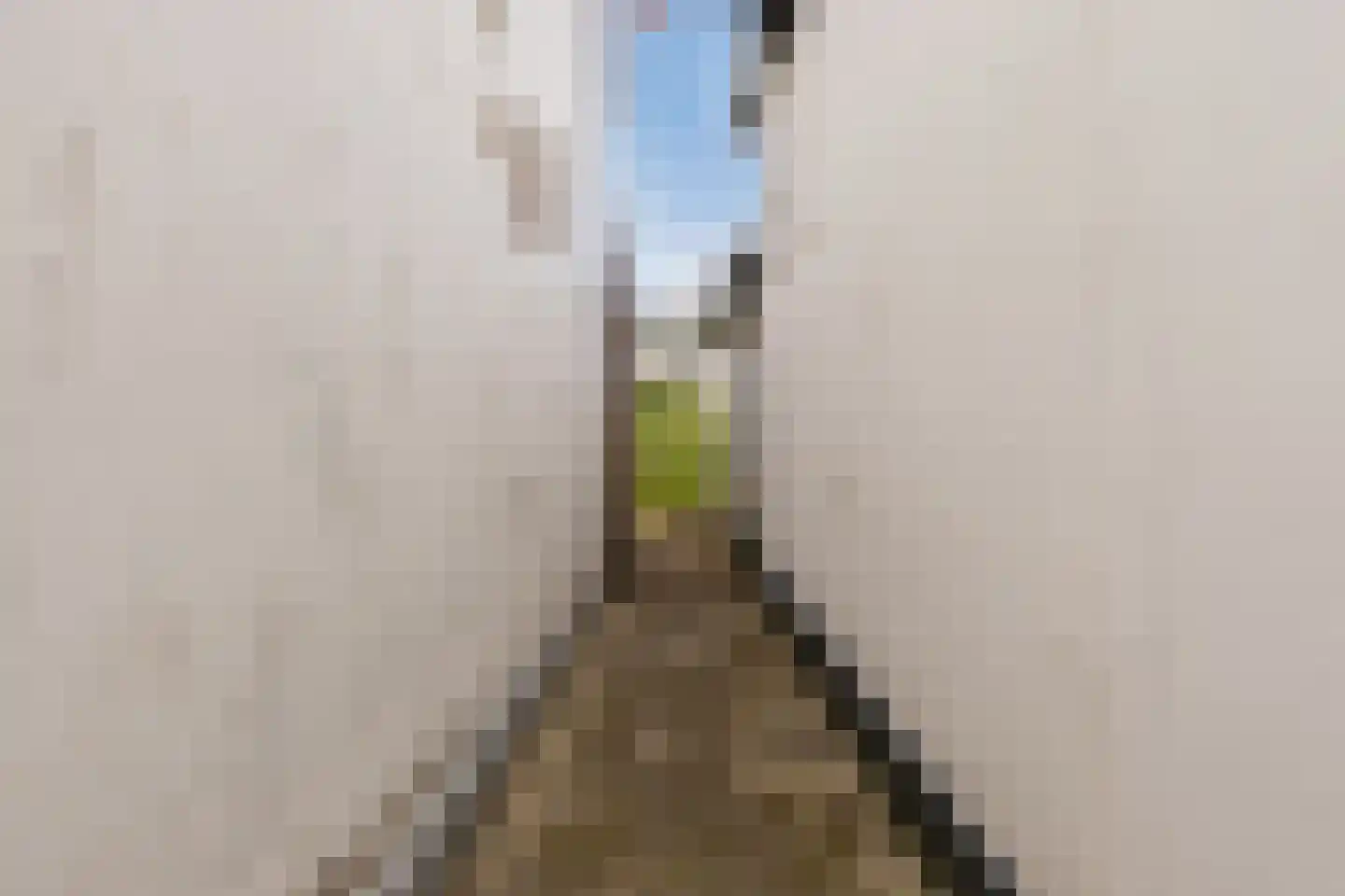 Warmoesstraat 131 Wormerveer thumbnail 30
