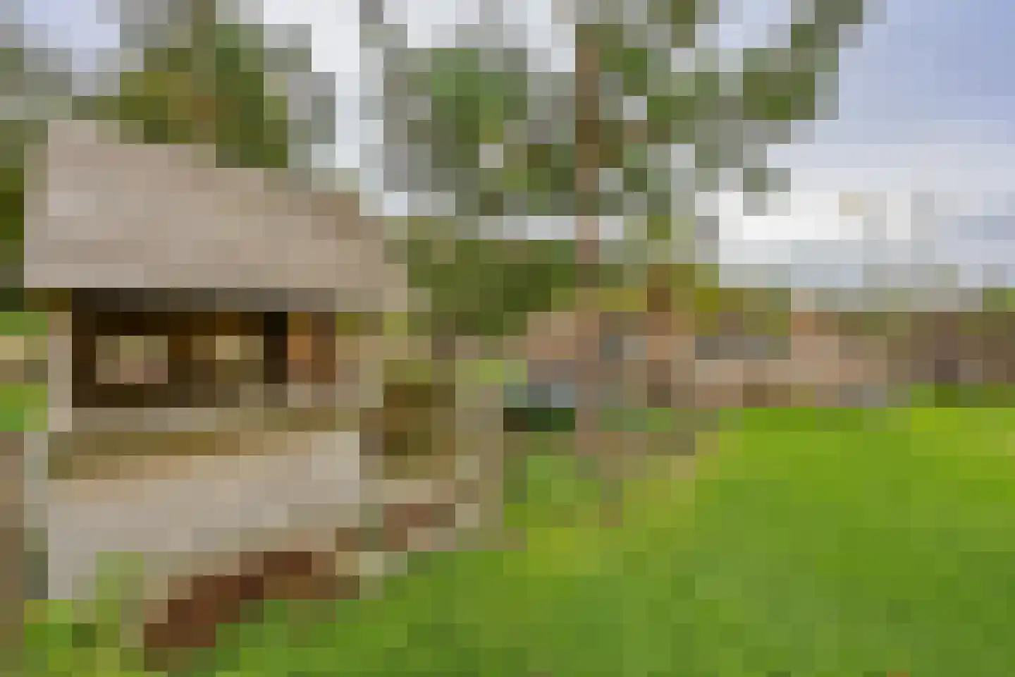 Warmoesstraat 15 Almere thumbnail 34