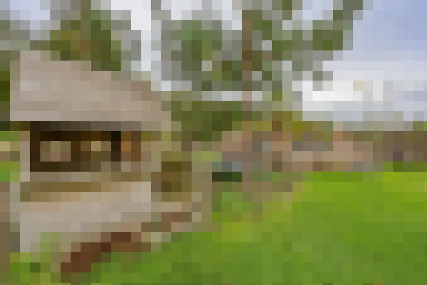 Warmoesstraat 15 Almere thumbnail 35