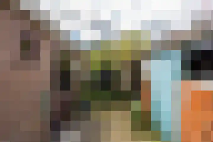 Warmoesstraat 17 Groningen thumbnail 5