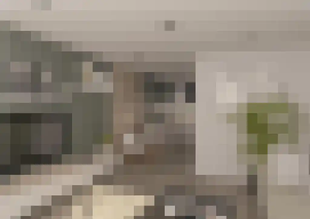 Warmoesstraat 19 Wormerveer thumbnail 5