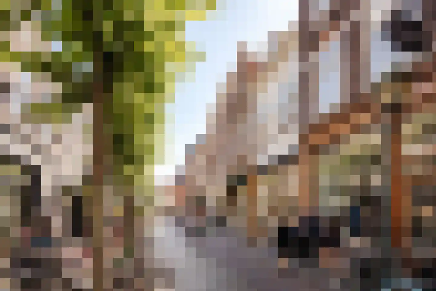 Warmoesstraat 20 C Haarlem thumbnail 47
