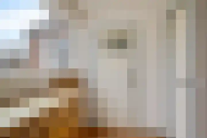 Warmoesstraat 22 St.-Annaparochie thumbnail 14