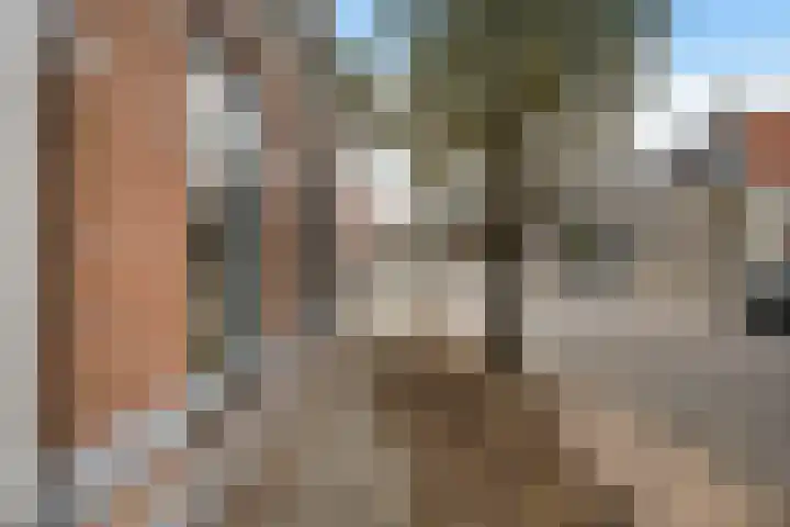 Warmoesstraat 22 St.-Annaparochie thumbnail 35