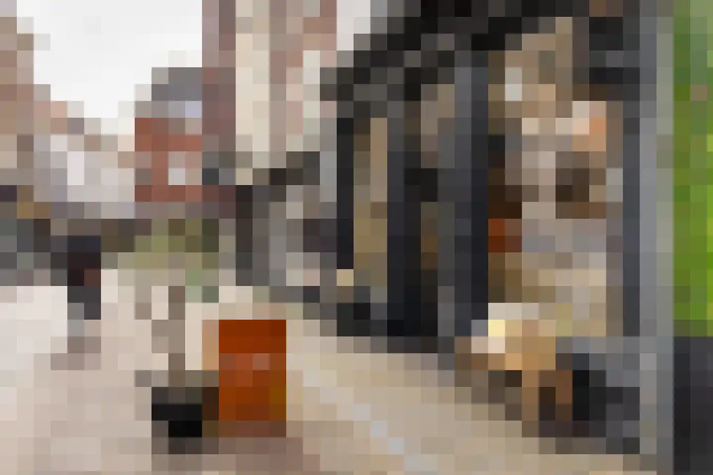 Warmoesstraat 24 B Haarlem thumbnail 31
