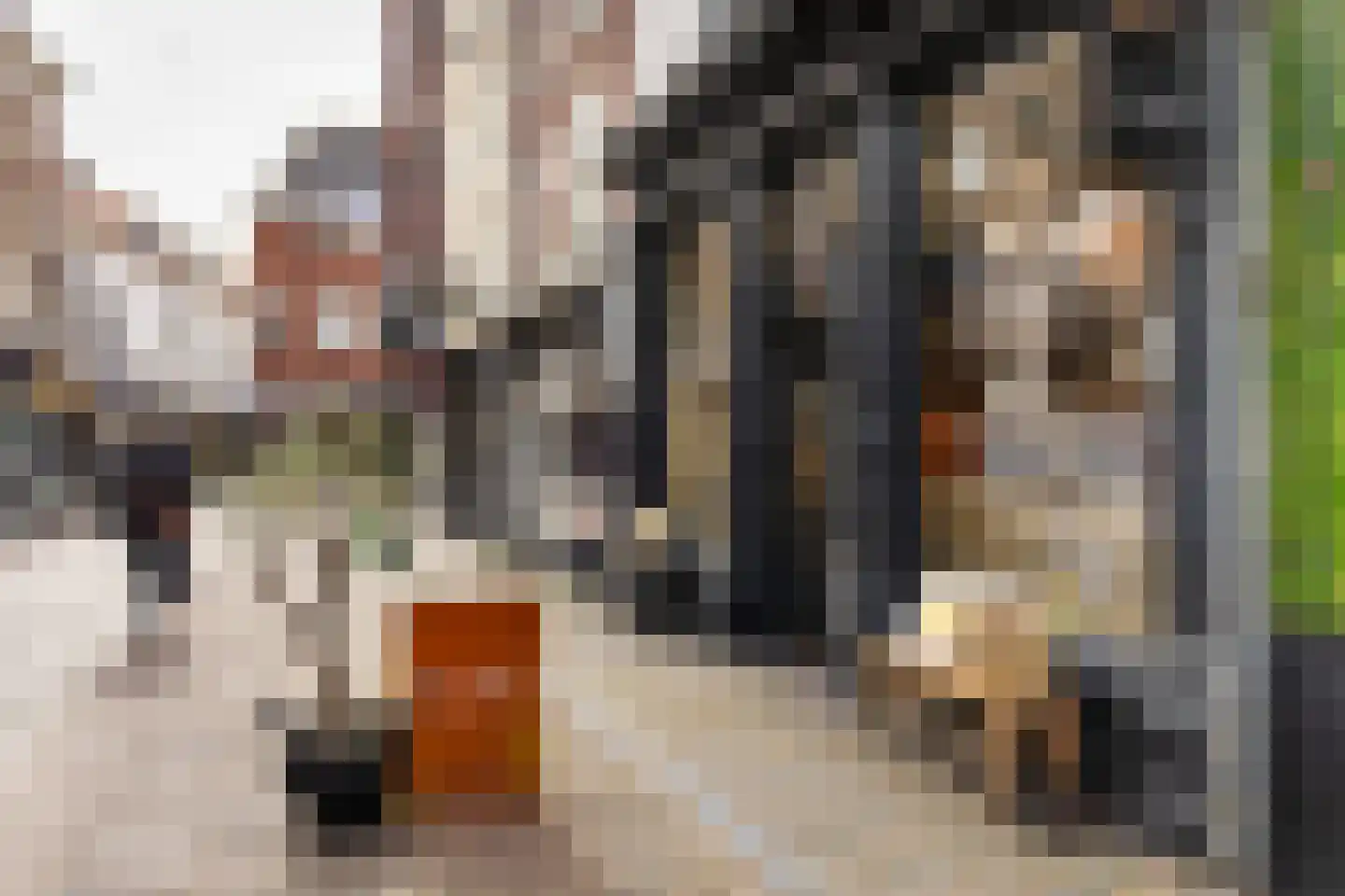 Warmoesstraat 26 A Haarlem thumbnail 24