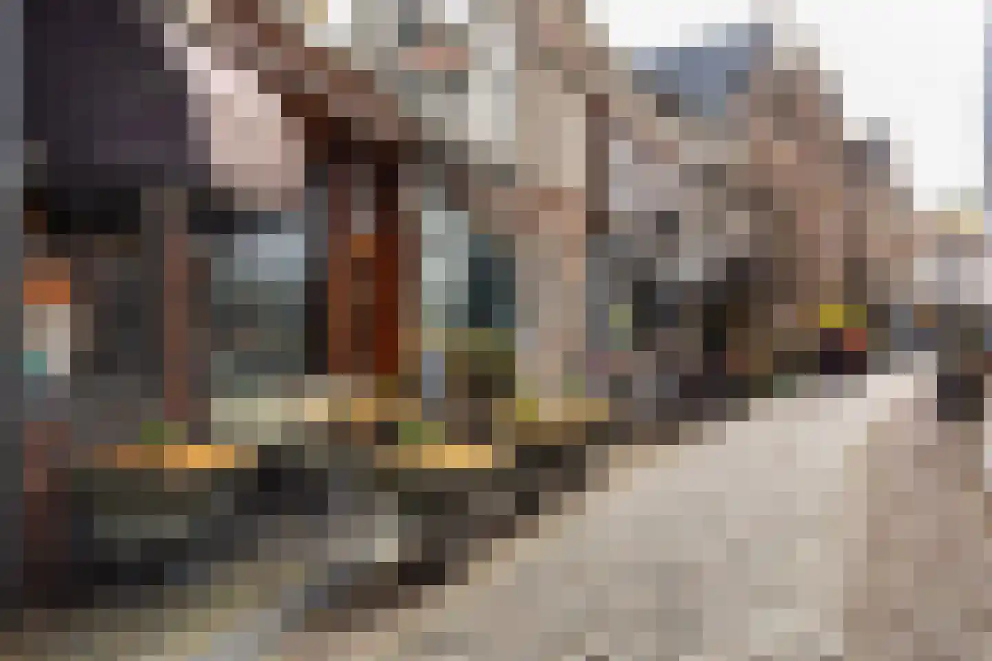 Warmoesstraat 26 A Haarlem thumbnail 26