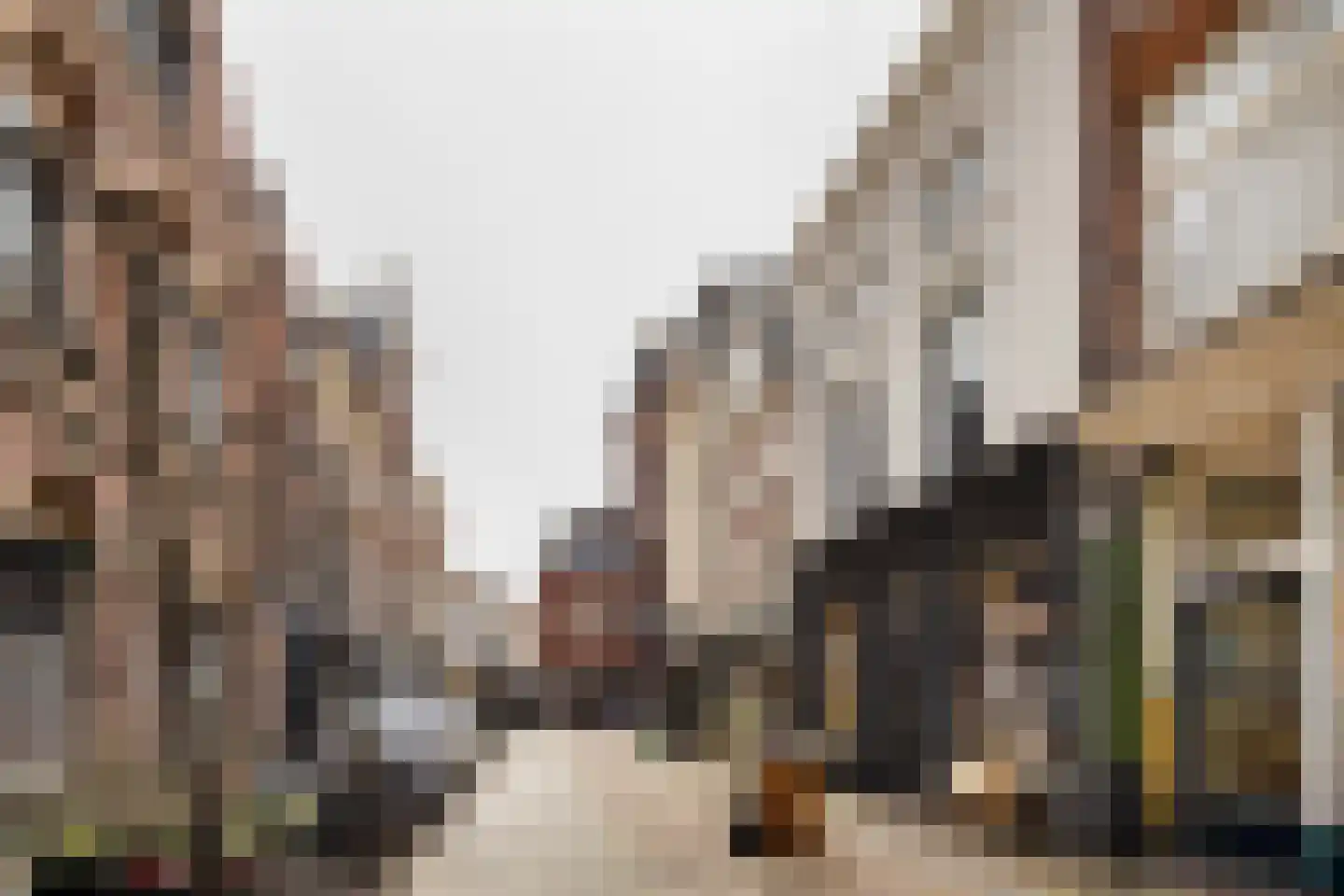Warmoesstraat 26 B Haarlem thumbnail 22