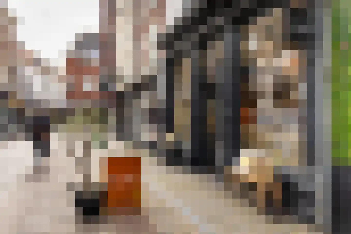 Warmoesstraat 26 B Haarlem thumbnail 23
