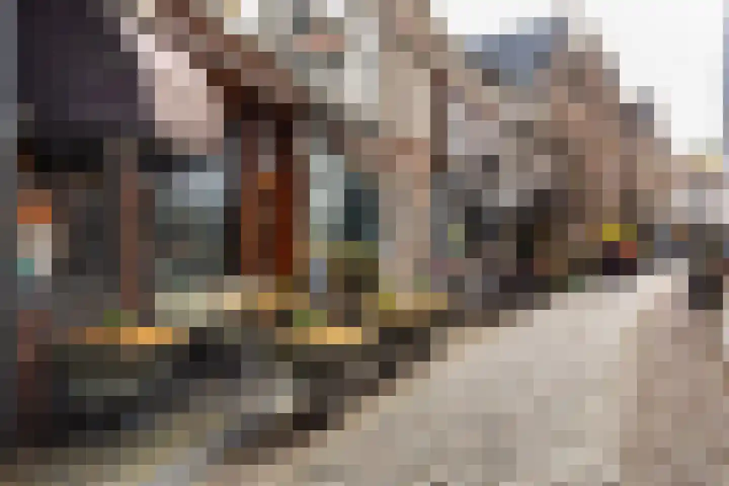 Warmoesstraat 26 B Haarlem thumbnail 25