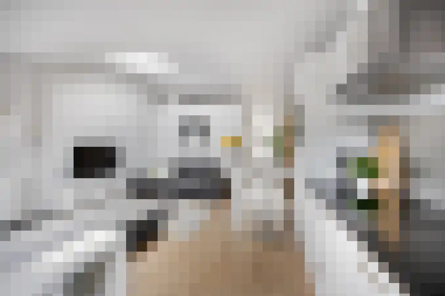 Warmoesstraat 26 H Haarlem thumbnail 22