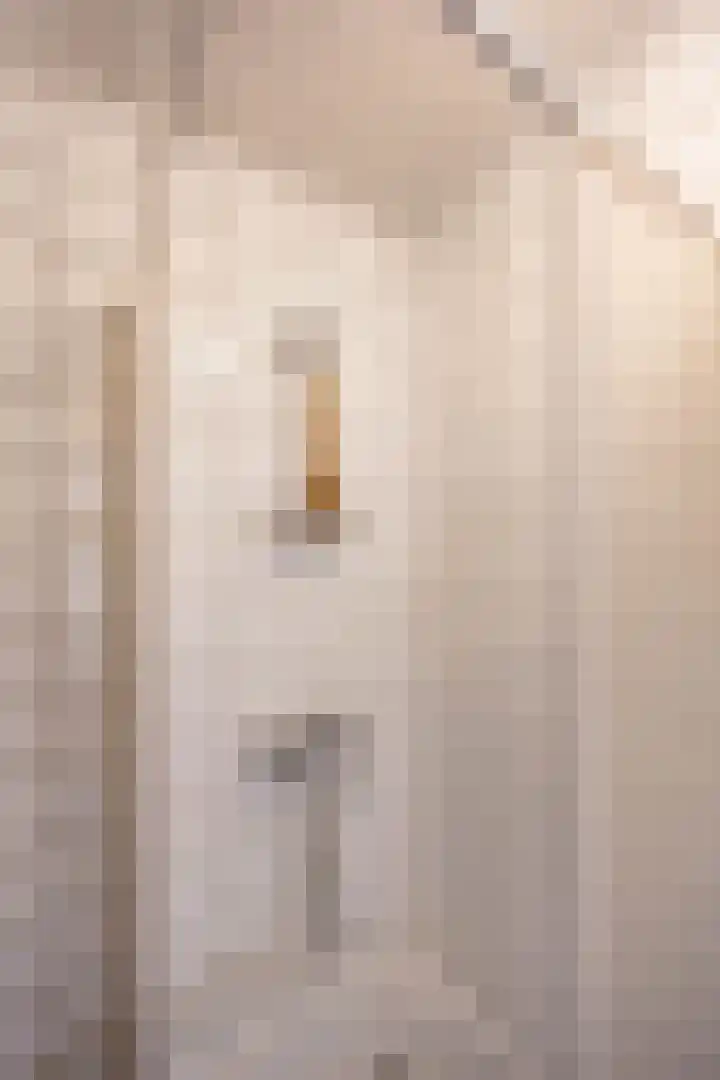 Warmoesstraat 29 Groningen thumbnail 31